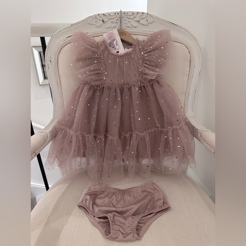 🦢 18 Mth Dusty Rose Tulle & Gold Star Baby Dress with Matching Bloomers NWT
